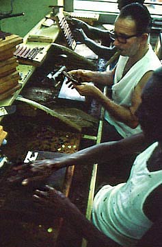 kuba-cuba-zigarrenfabrik-arbeiter