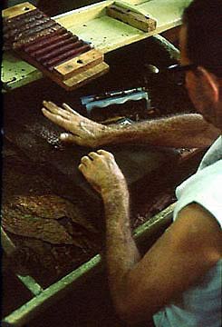 kuba-cuba-zigarrenfabrik-arbeiter