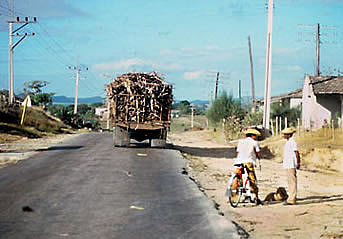 kuba-cuba-transport-zuckerrohr
